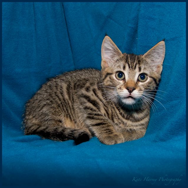 Photo of Leo