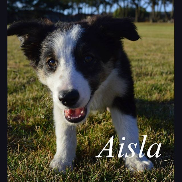 Photo of Aisla