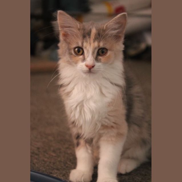 Photo of Tallulah