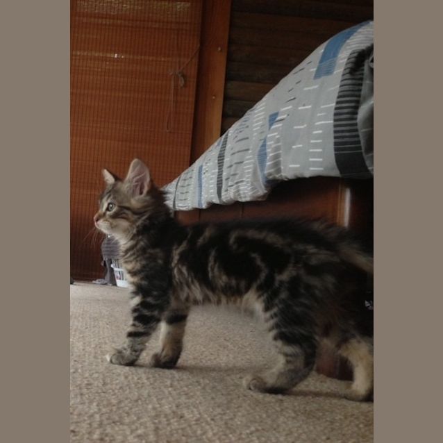 Photo of Gertie