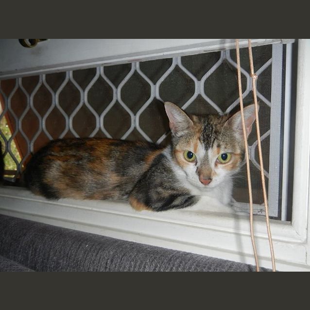 Photo of Milly