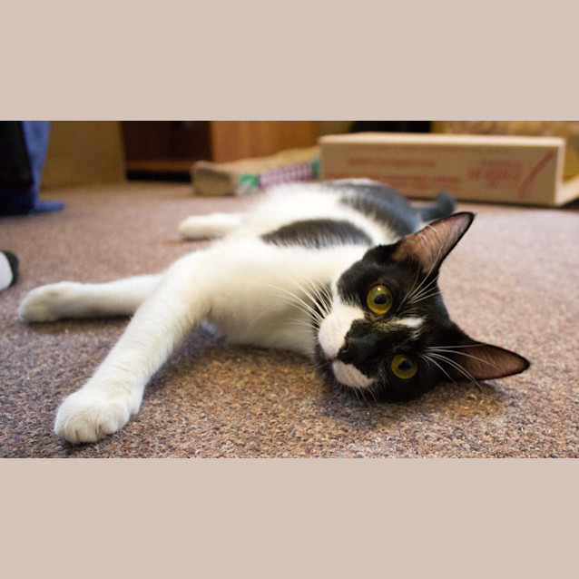 Photo of Mikala