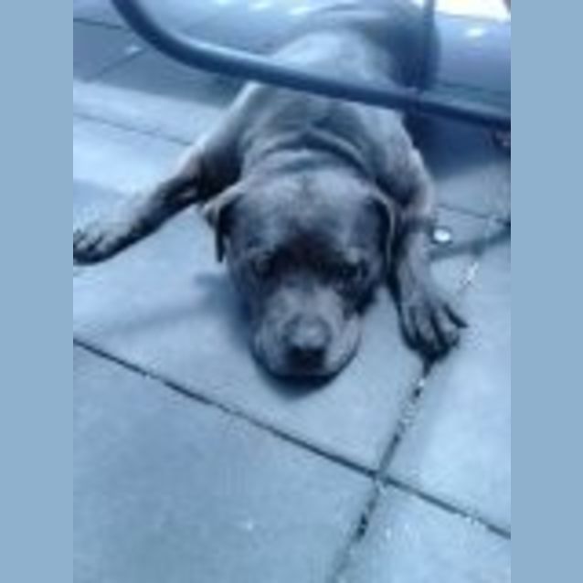 Photo of Skye