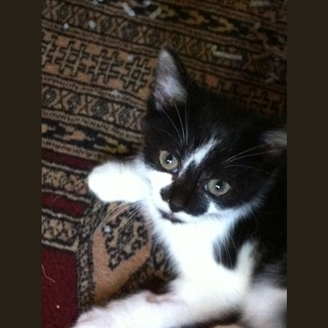 Photo of Leo