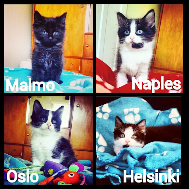 Photo of Oslo