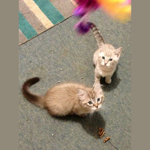 Photo of Astrid Peth