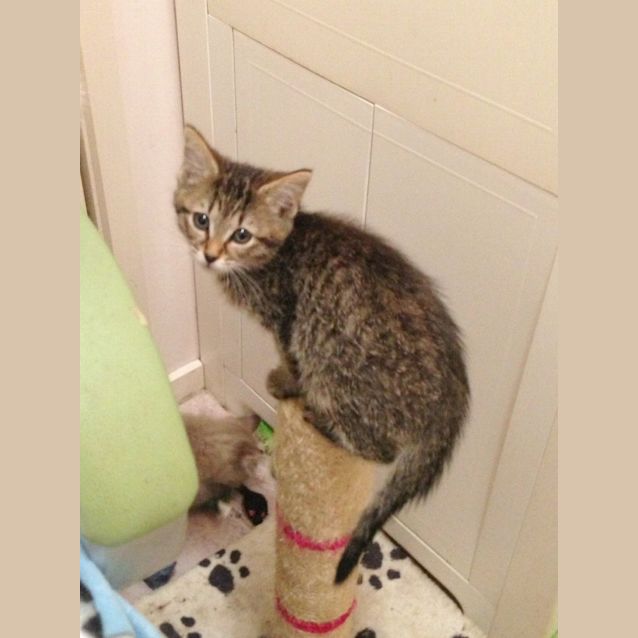 Photo of Sally Sparrow