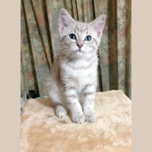 Photo of Astrid Peth