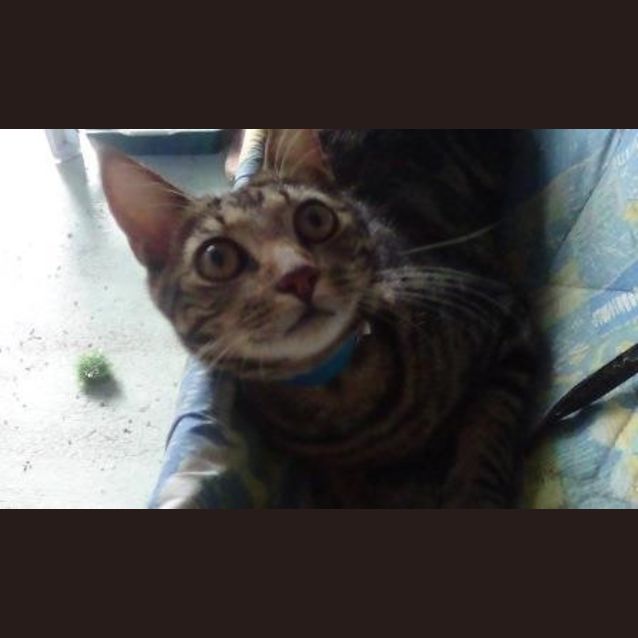 Photo of Iroh