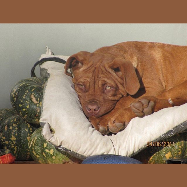 Photo of Maisie And Annie