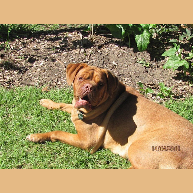 Photo of Maisie And Annie