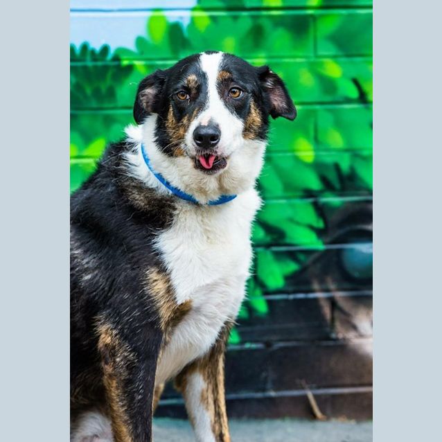 Photo of Prince ** Just A Delightful Boy **