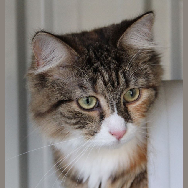 Photo of Lucy