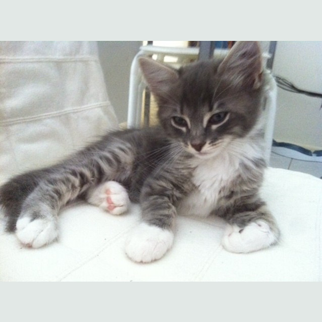 Photo of Dudley