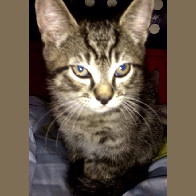 Photo of Jack