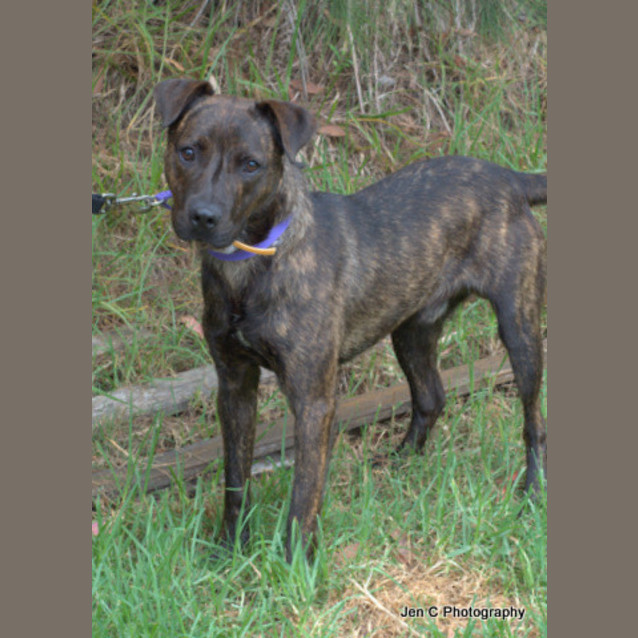 Photo of Kobi