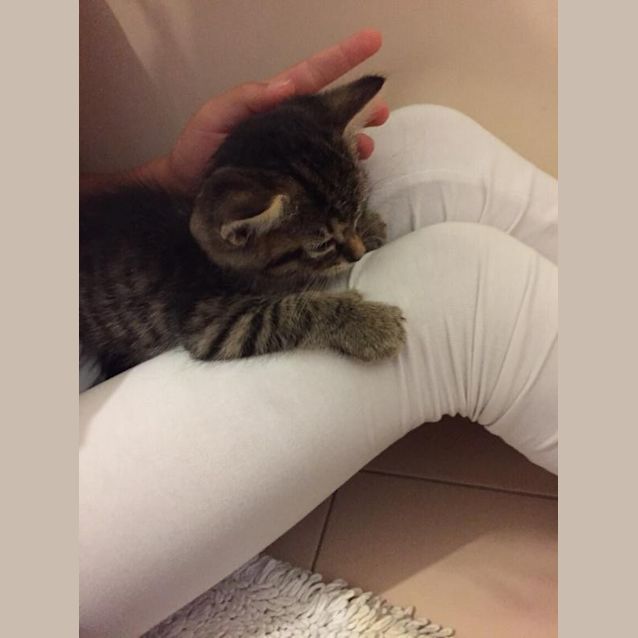 Photo of Coco