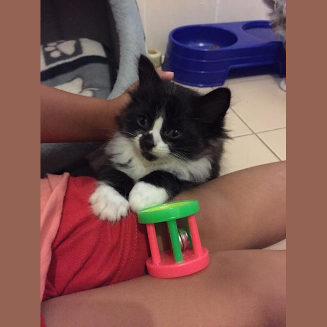 Photo of Boo