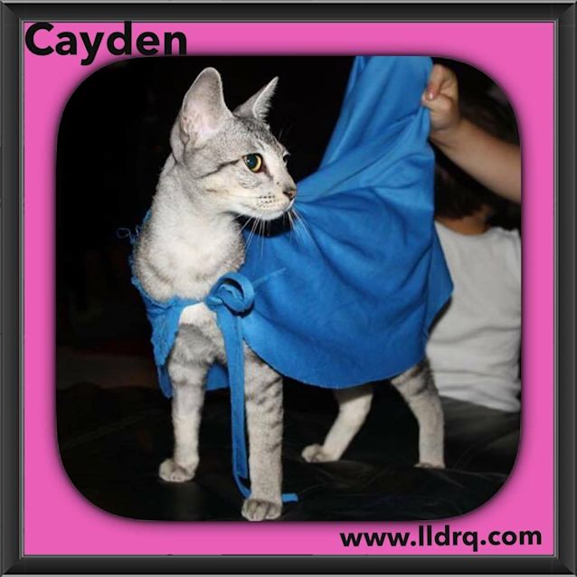 Photo of Cayden 