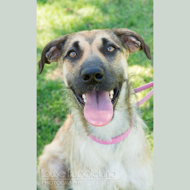 Photo of Xena