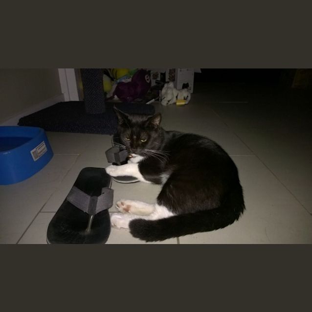 Photo of Max