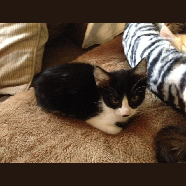 Photo of Charlie