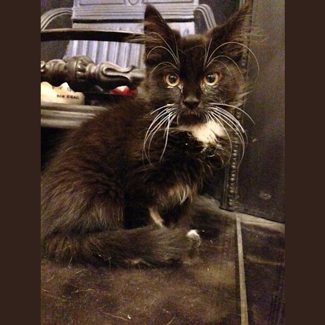 Photo of Reggie 