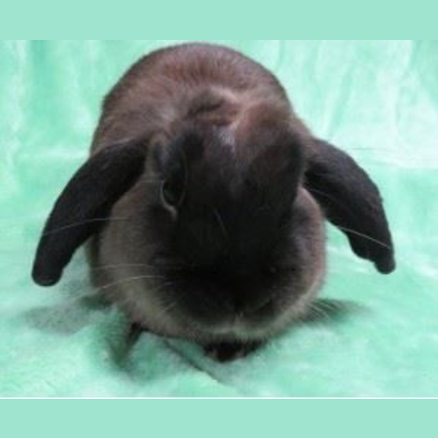 Photo of Arthur