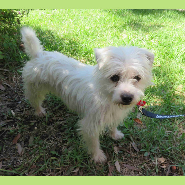 Photo of Timmy ** A Delightful Little Boy **