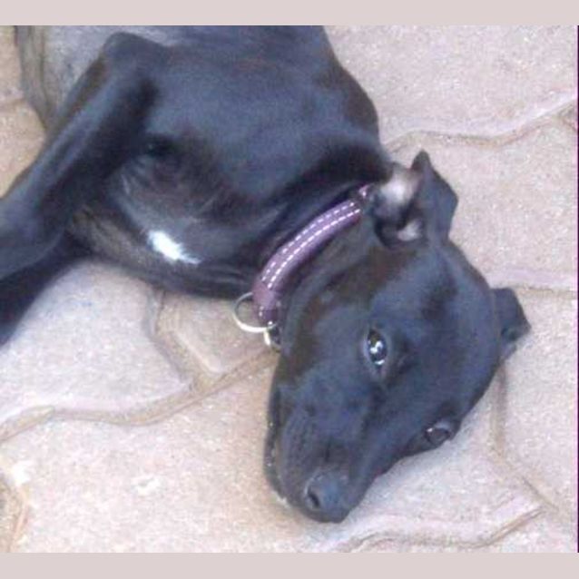 Photo of Jet