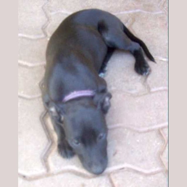 Photo of Jet