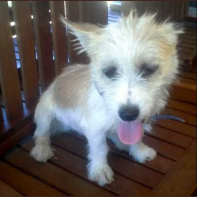 Photo of Meeca