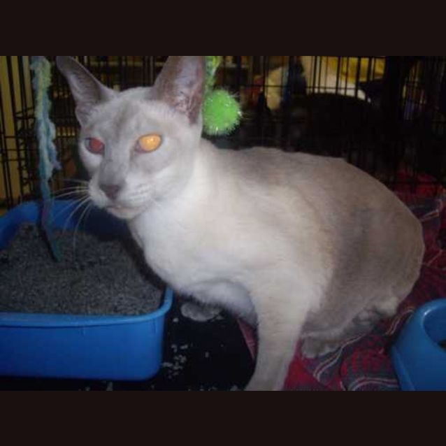 Photo of Zoe