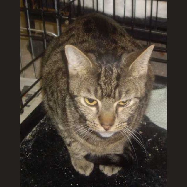 Photo of Rocky