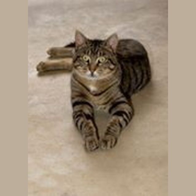 Photo of Charlie Ec0094