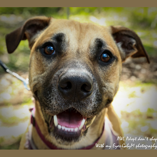 Photo of Moochy Aka Belle