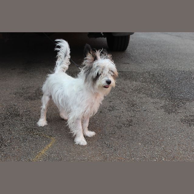 Photo of Charlie Jd03