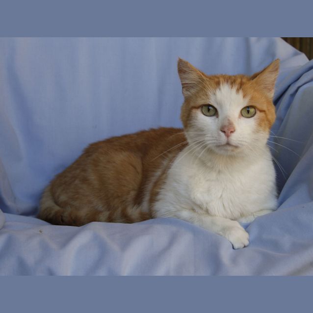 Photo of Dennis