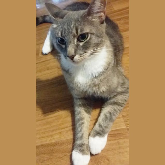 Photo of Cleo