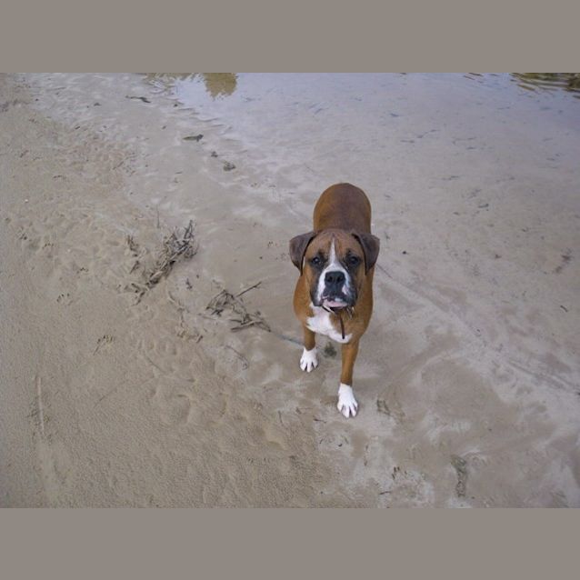 Photo of Nala & Bella