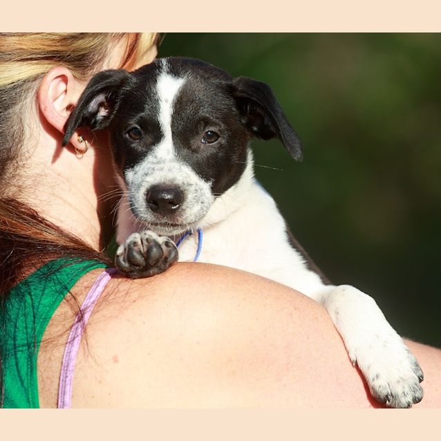 Photo of Sammie ~ On Trial 30/1/15