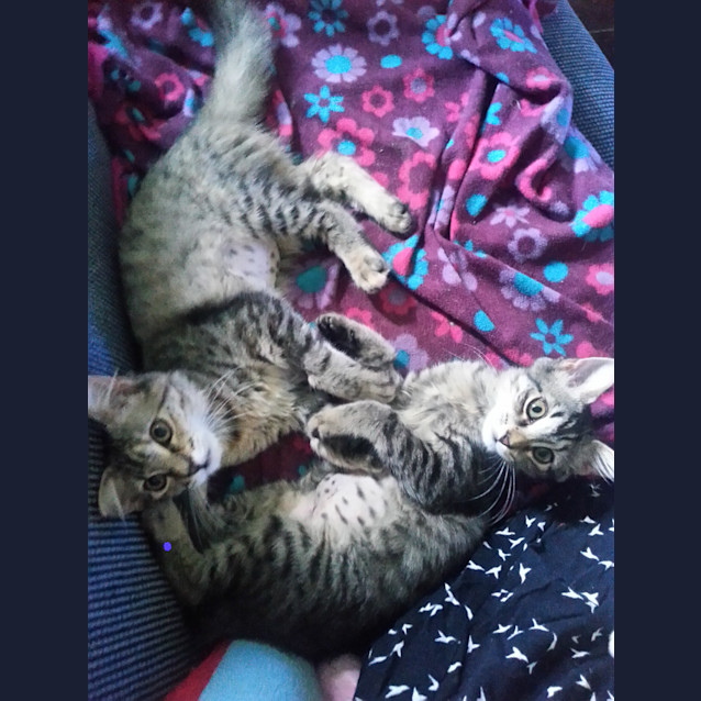 Photo of Shannon & Isla