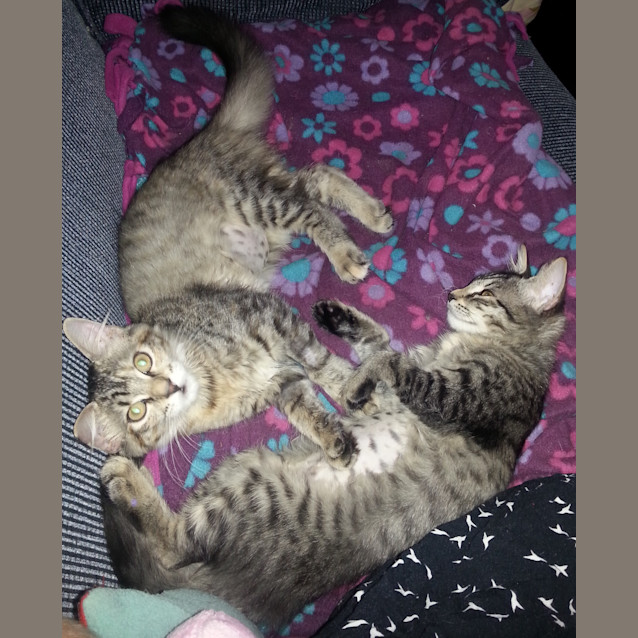 Photo of Shannon & Isla