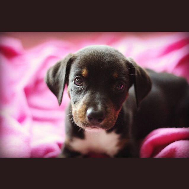 Photo of Mia 