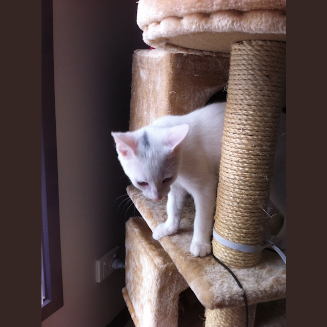 Photo of Fred