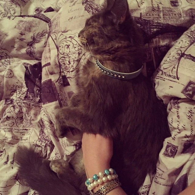 Photo of Tinka