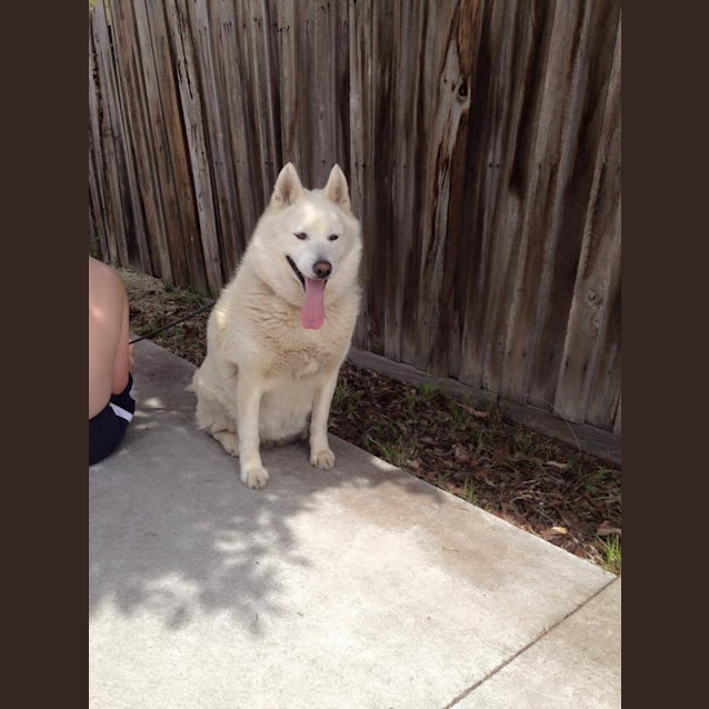 Photo of Angel