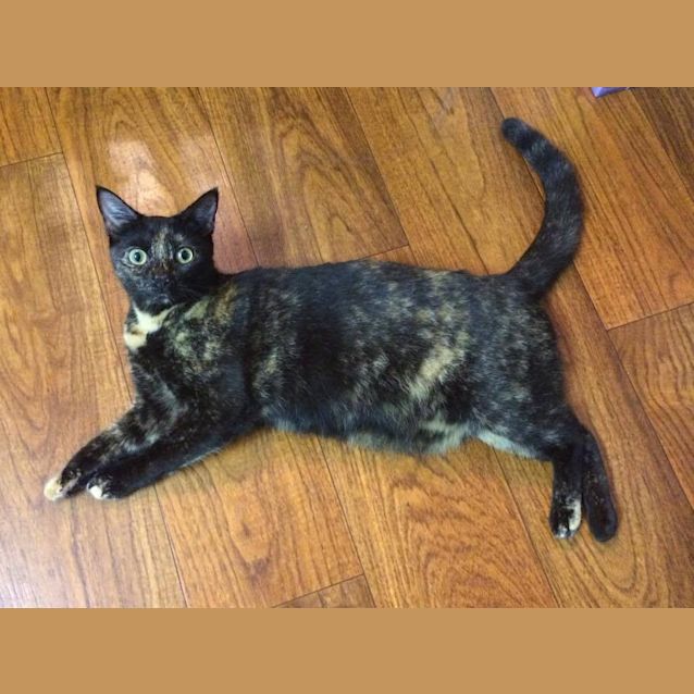 Photo of Molly