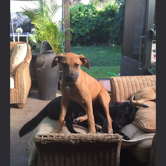 Photo of Mabel 