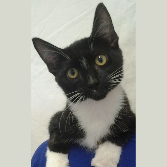 Photo of 095 1203 Monty